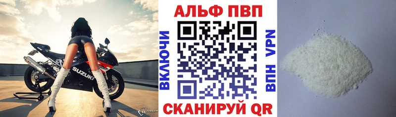 kraken tor  Кадников  A PVP СК 