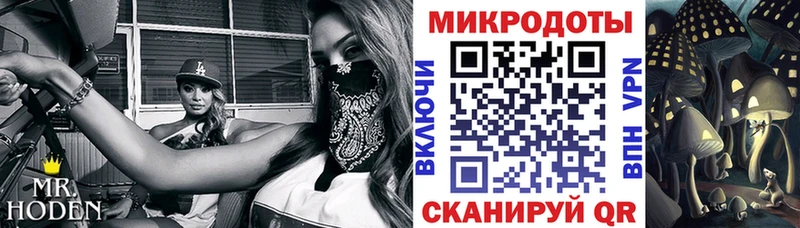купить наркотики сайты Кадников Галлюциногенные грибы мухоморы